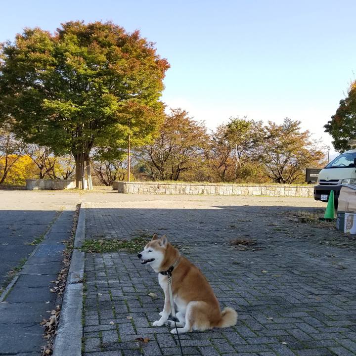 B70e9f8f 2086 482b 9c1f 6b8ca7495ba7 1666934069173