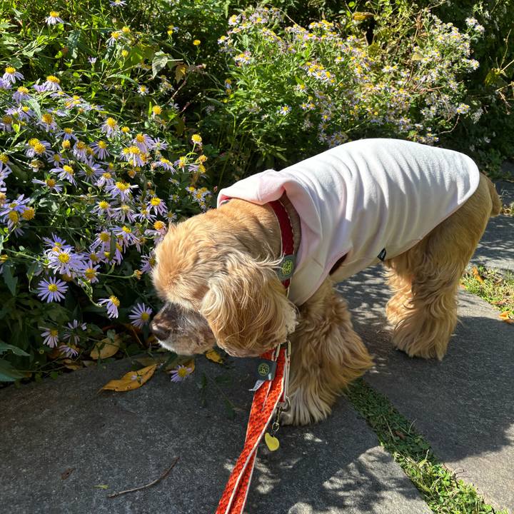 B70ec773 5736 4b17 ad33 c31fdbf1b9cd 1762355492634