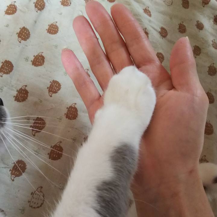 B70ecda6 445b 42a5 a549 18785a5644c7 1543687739151