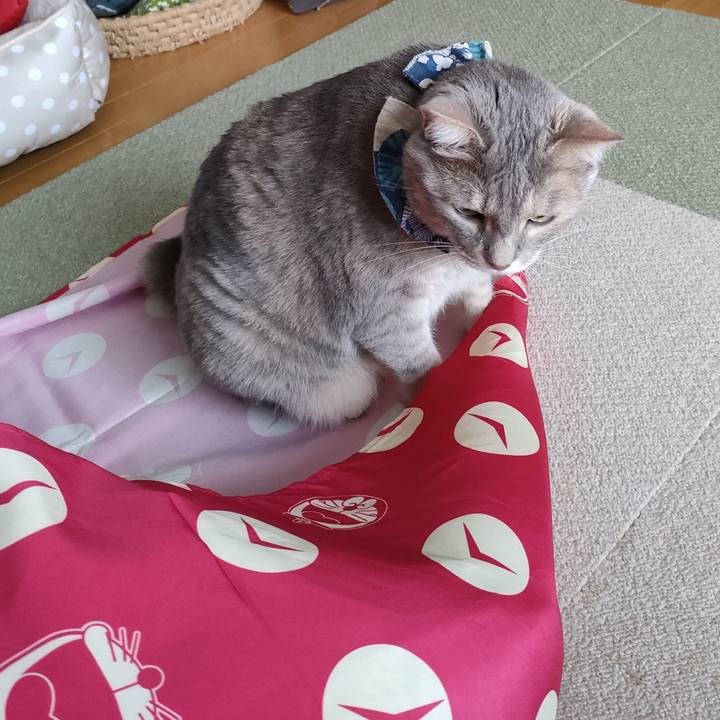 B70ef215 8422 4495 aa80 3c79f3c994c8 1687592721731