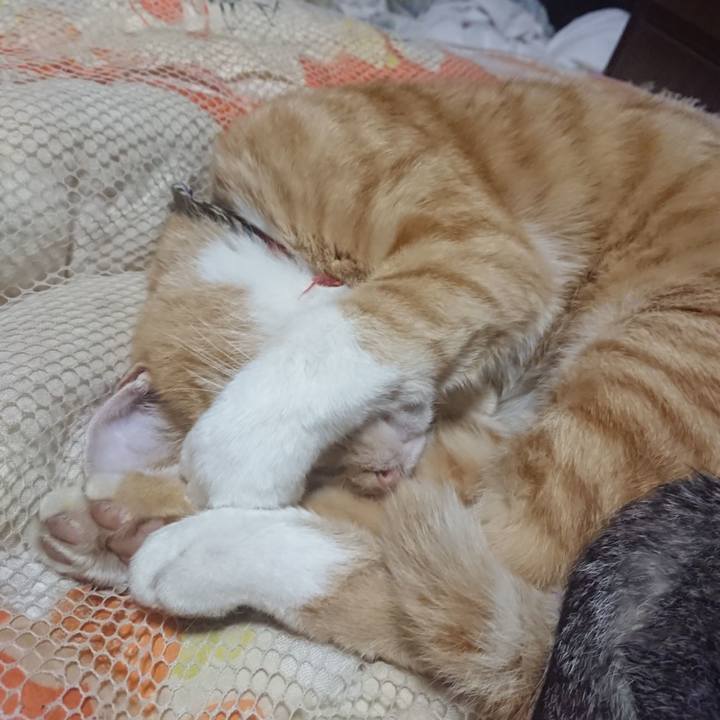 B70f064b 3ba1 4803 9cfd 0784f2feab89 1572267717017