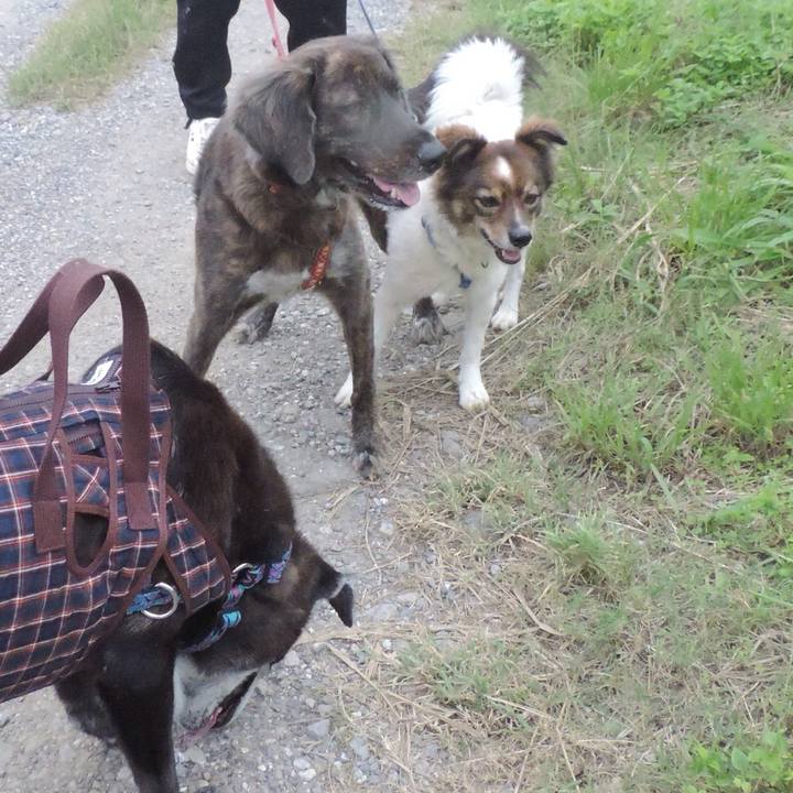 B70f106d 4415 4b61 8694 83695eaf5104 1509449533346