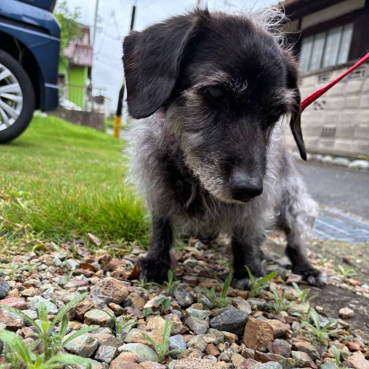 B70f1ade c55d 4cde bfbd 1e6fc6c05d53 1750852438556