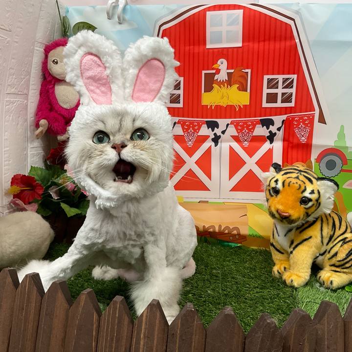 B70f1f66 d856 495e 9a08 4315eda21fda 1747460974533