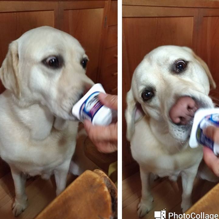 B70f517d 4c16 4719 ae60 2c3575a96b45 1623150597134