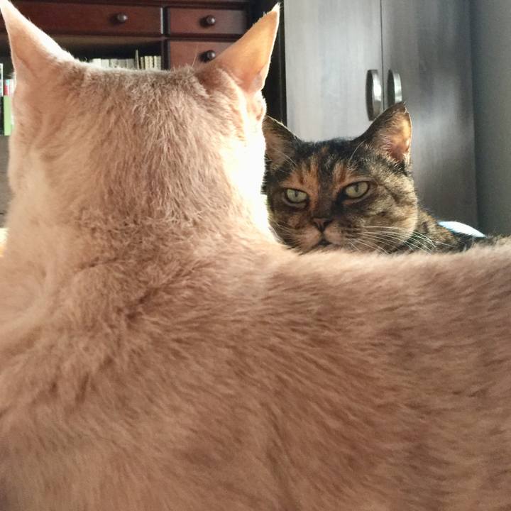 B70f596d 5eef 48c1 9546 0ce38e0583e5 1593603350465