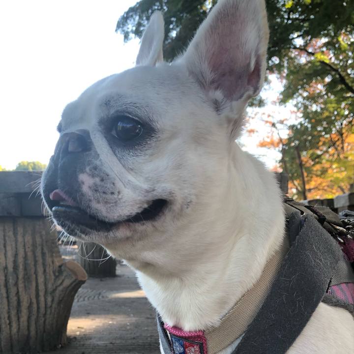 B70f62a4 b6c9 430a 9ea5 f3ff1444063c 1636871959622