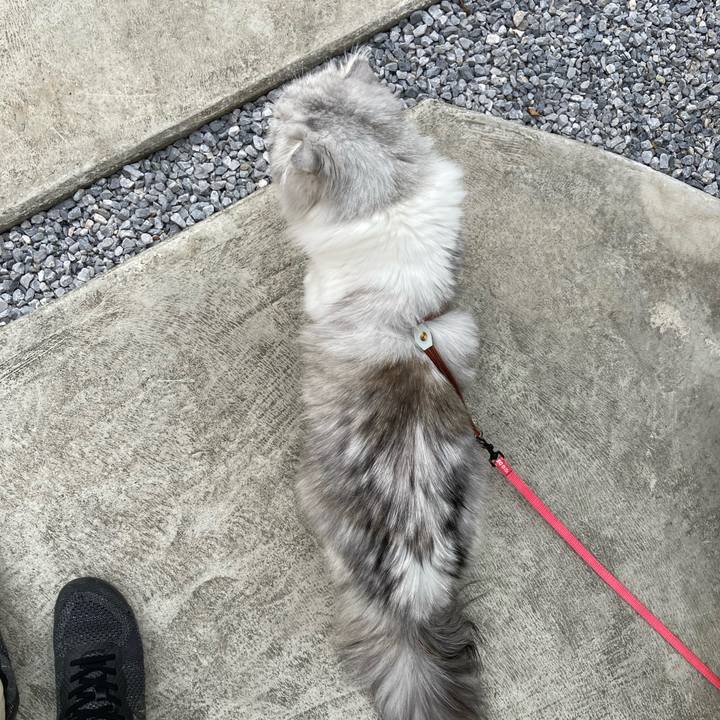 B70f6d85 76f8 406d b954 23ab526a5007 1656503854712