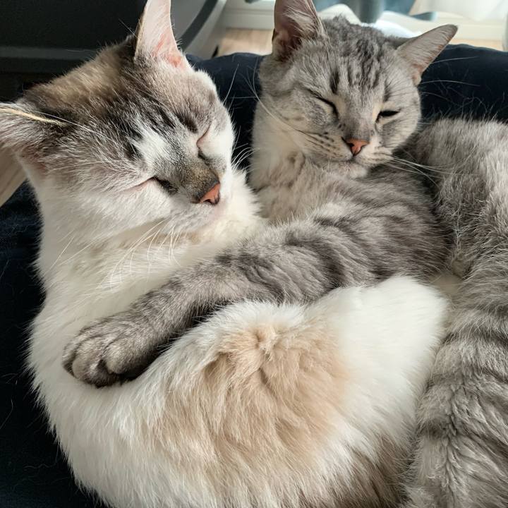 B70f73da 93f3 4660 bed6 fdf7f686bb23 1652750337898