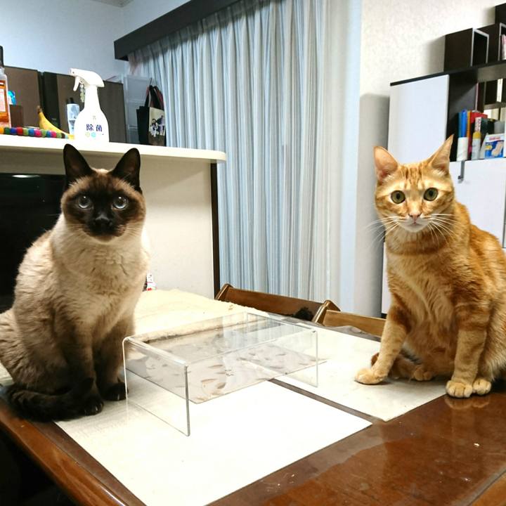 B70ffc48 d6d9 43dc 8a62 405d3e46820d 1547251622227