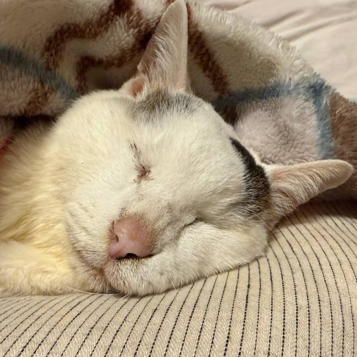 B710134a 6eb4 4d69 bca8 58fd4d6da1cf 1769604859725