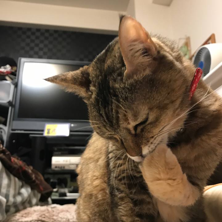 B7101bce 6c7b 4404 ada8 404237218b1e 1510895515142