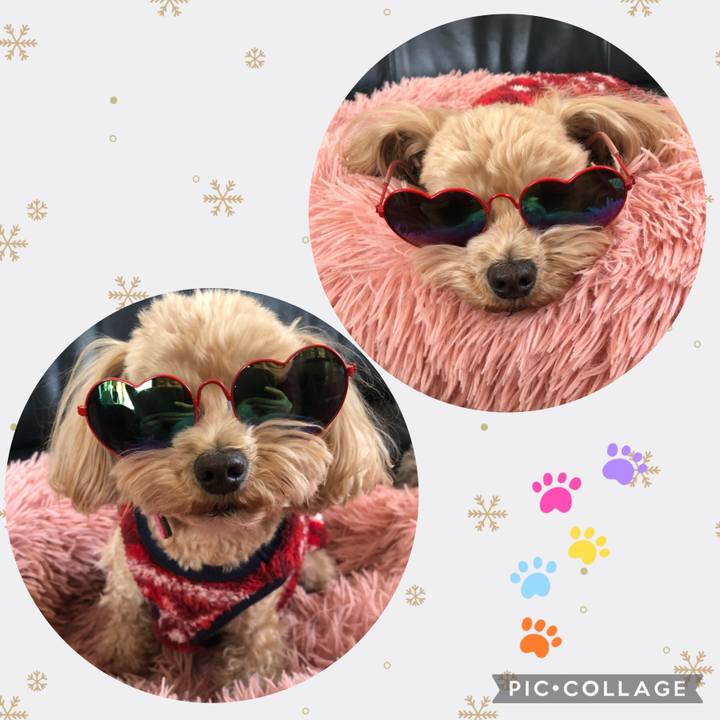 B7101c4d 77de 4bef 9395 647469bb057e 1673144582204