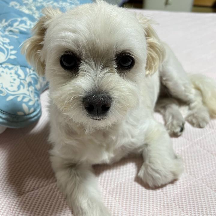 B7102619 3d26 4228 8c97 c2926c3e6a3b 1656679603997