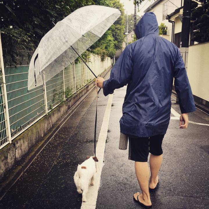 B7102c66 9342 4a81 b6b3 04b769957e87 1566173306015