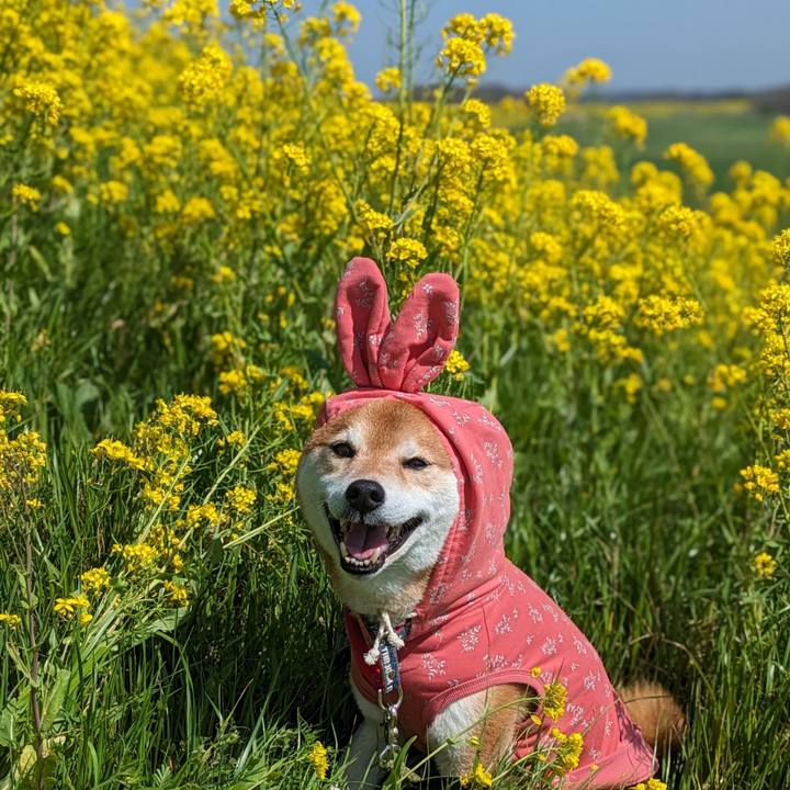 B7106563 880b 43dd 80c4 8bf578553c22 1711859984676