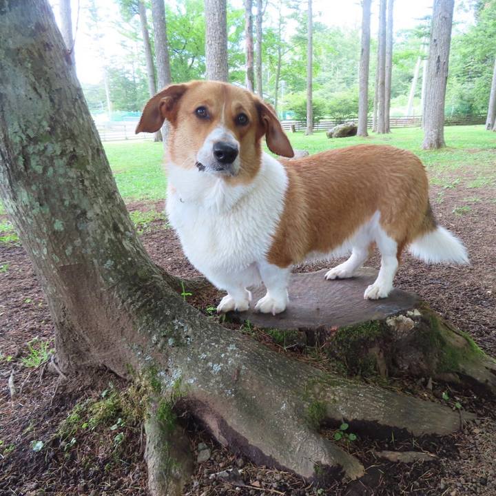 B71065b9 9c5d 4124 85fa 5b9d90b57690 1628558352934