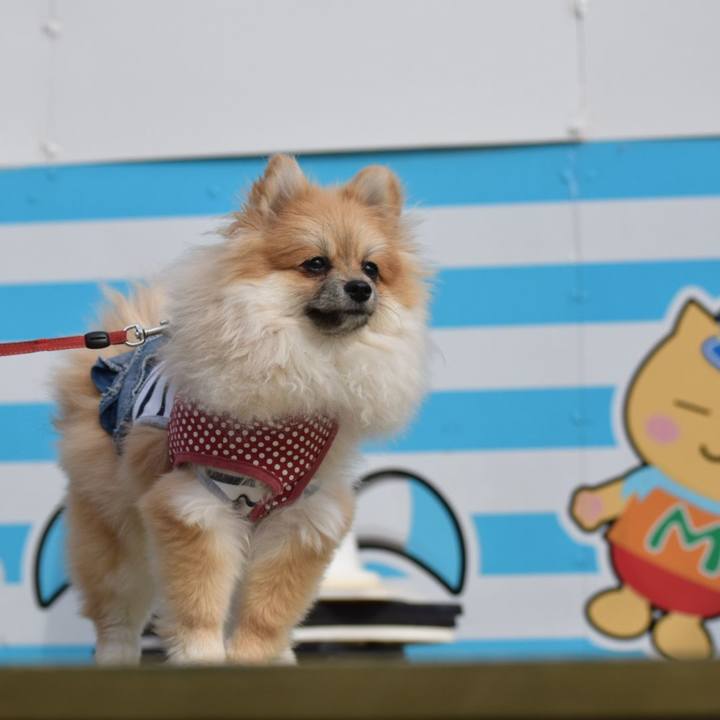 B7107ea1 1e4f 46db 994a 1bfb658056c8 1520412074971