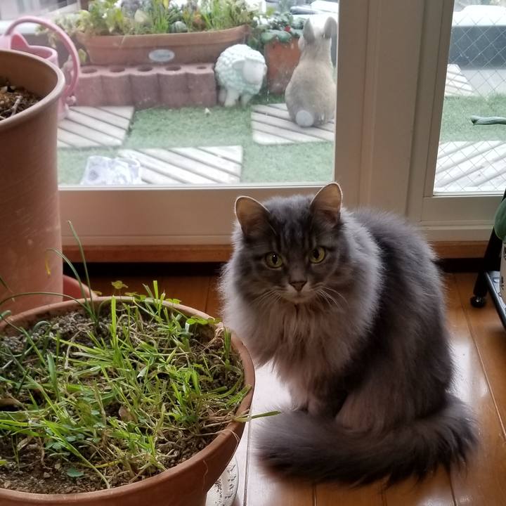 B7109ea5 2eb7 4cbc 8f93 a7bdb7cf1c61 1543813962691