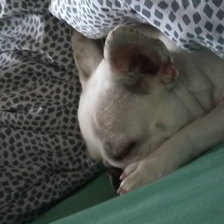 B710b296 32a1 4abd aabe 8effdb2f5c77 1653254113015