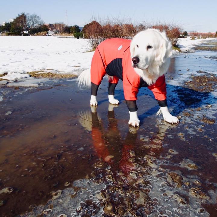 B710df76 40ce 4897 8b25 41fd75ea23d3 1516775221784