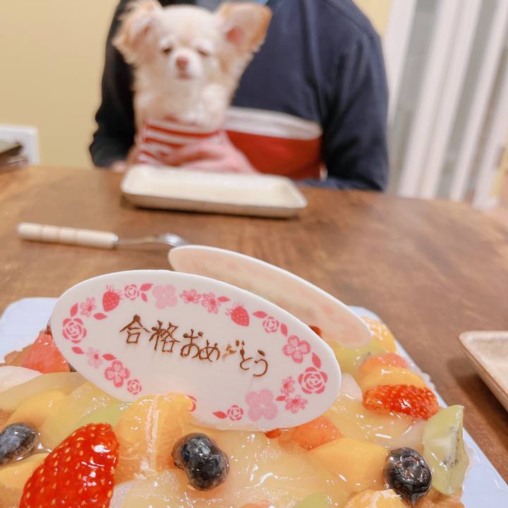 B710f95f 2df8 43c9 a067 61c89a7a34bb 1676170811934