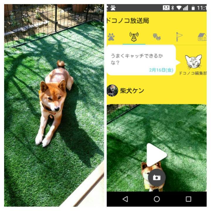 B710f9db b8f5 41bb bd44 55952c8b6638 1518747629650