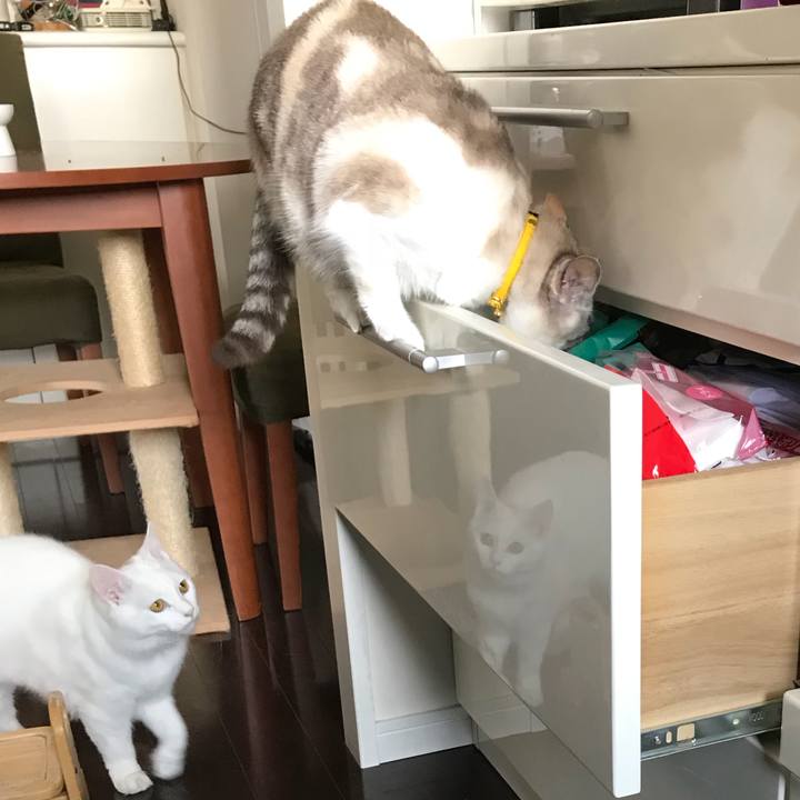 B710fcd0 2628 4947 bd73 a1f7e1714c60 1520770202954