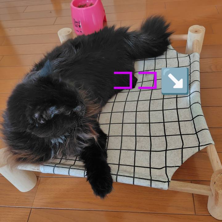 B71121be 59b3 4d03 947d 6db4e25dafc3 1733614283004