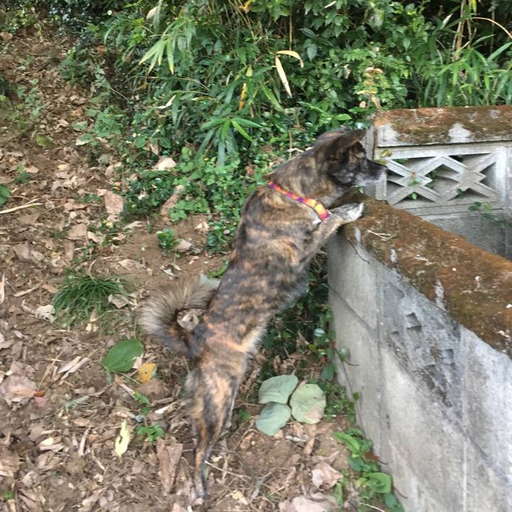 B711242e 1009 4e88 9efc 54cf3657a099 1509788642715