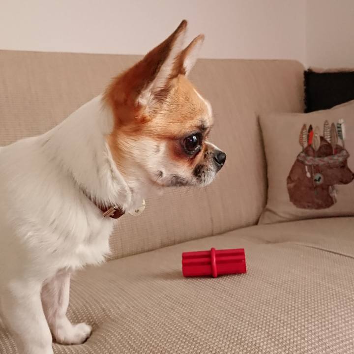 B711381f 3bab 4eda 9244 c2f555ed302a 1552115177869