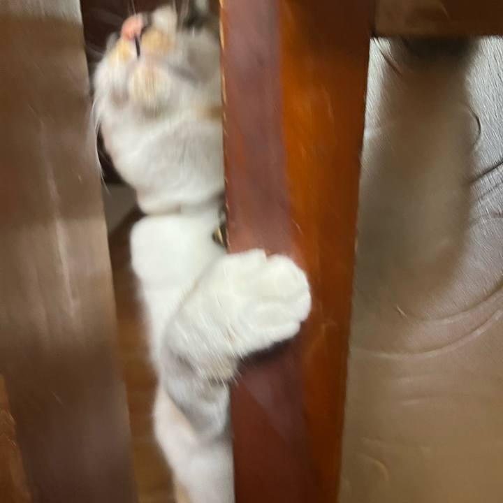 B7114a25 74b0 45c4 b157 7afacbe9f8c2 1762242169426