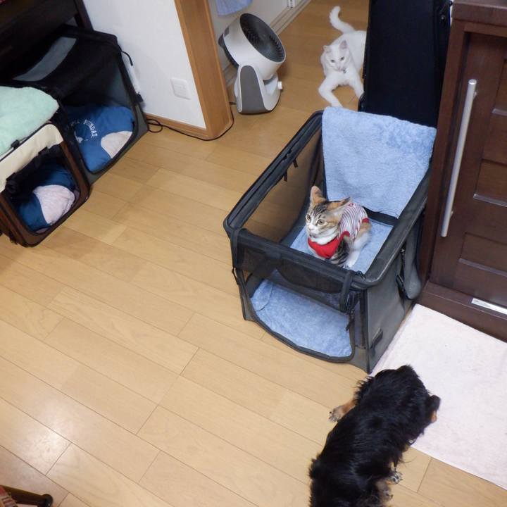 B7114c66 cab8 4ecf 9765 192e0c8a7290 1632964078407