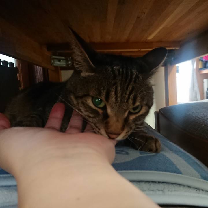 B71167bb 6a7f 48ae a2d8 9a6109727515 1593821926481