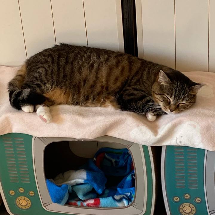 B7117298 45b5 43e7 afce 17fff4647d47 1644377341018