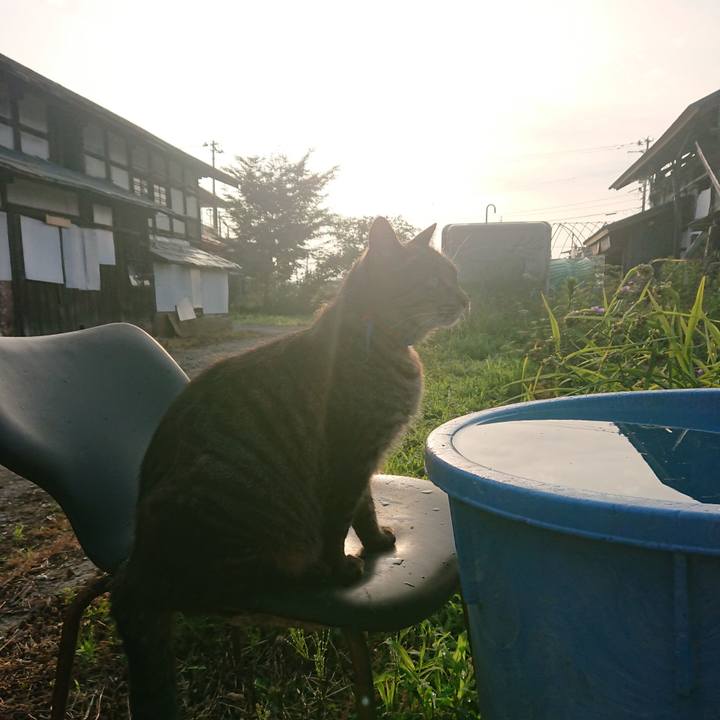 B7117fcd 32e4 4181 98f2 e9e98b3afee9 1659042308278