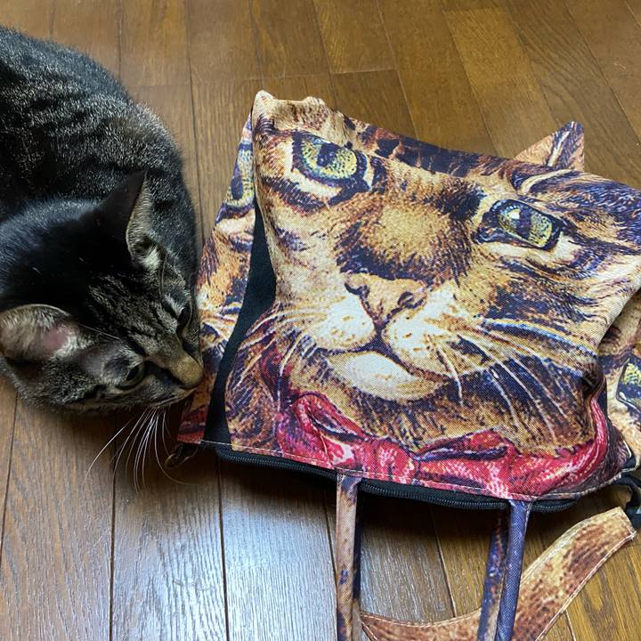 B711a30f d922 4cfd a147 37d68b999092 1674041245781