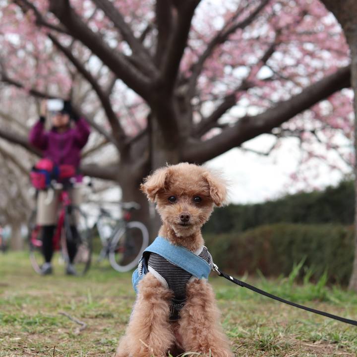 B711a9f2 d54d 4473 8970 1c1374efedbd 1604486217084