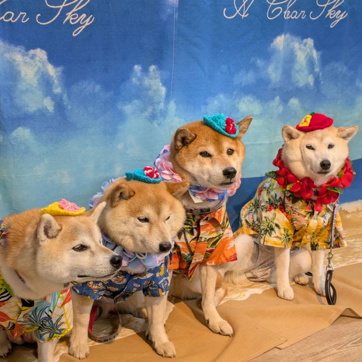 B711c9a1 f4f7 4a86 9c34 5d95e500097f 1754578613050