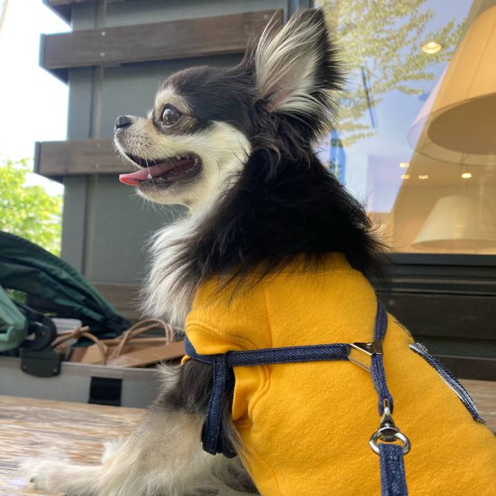 B711cddf 2743 4e17 876c 9989822baa25 1681017072174