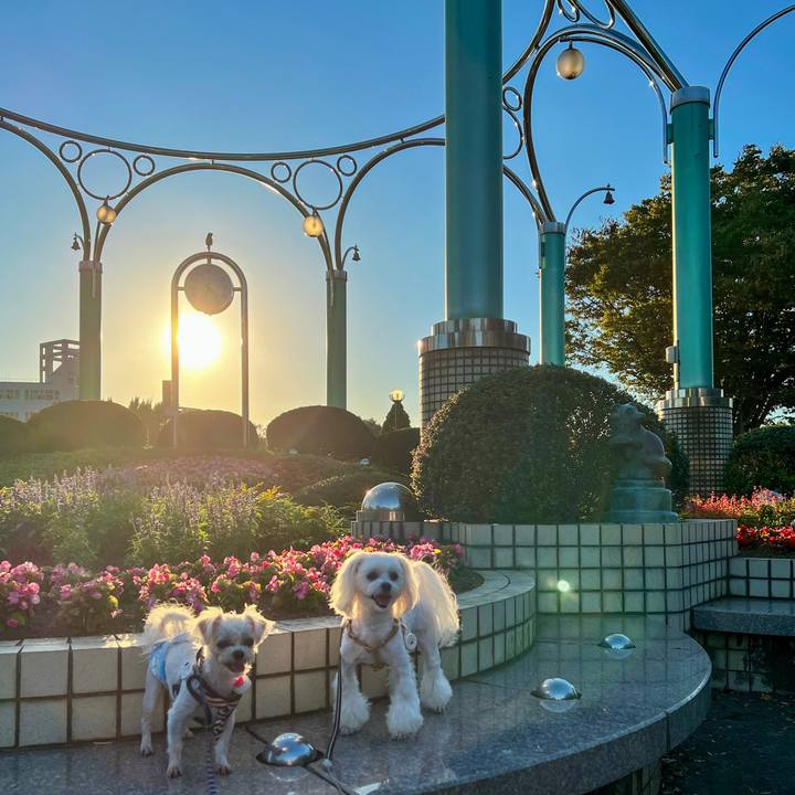 B711dfa2 5312 48f7 b5b1 99a9821d8420 1664613943913