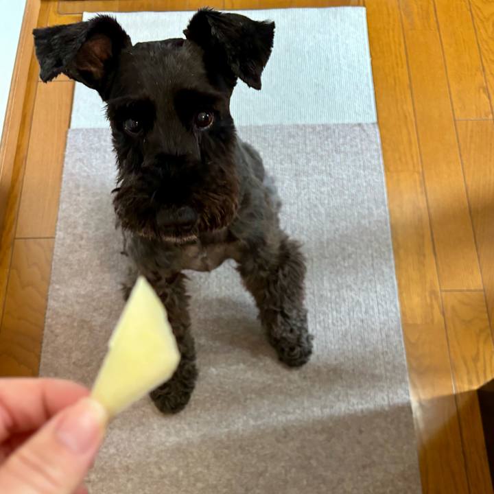 B71201ff 5984 42b7 99f9 af857652aad6 1750456925269