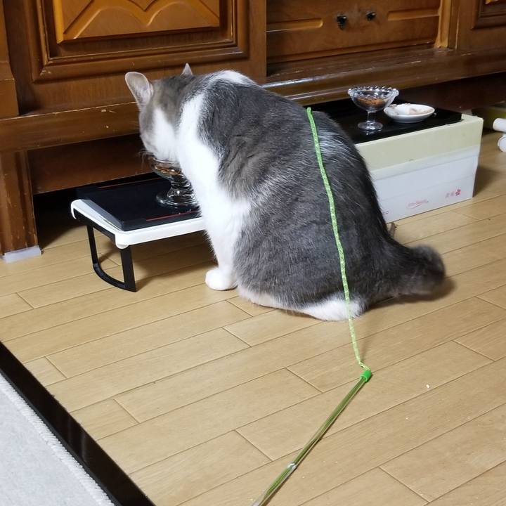 B7129aae 256d 4045 8af0 32e40c039f36 1687013370239