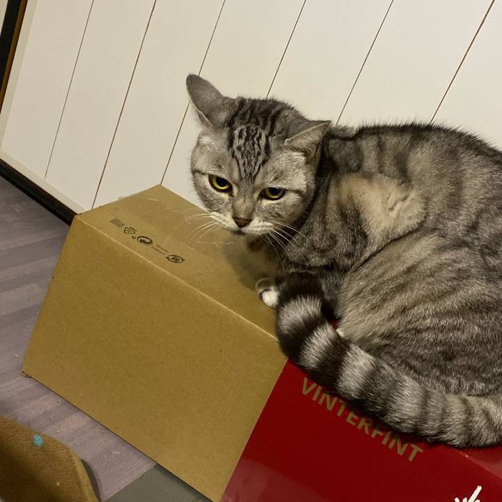 B712bbed 21a7 4865 a708 36eb55fb2fc2 1674747745322