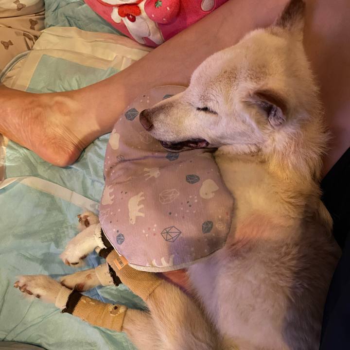 B712bd1e cb5a 4d0d 9ffc 37a2ce093a27 1686047920702