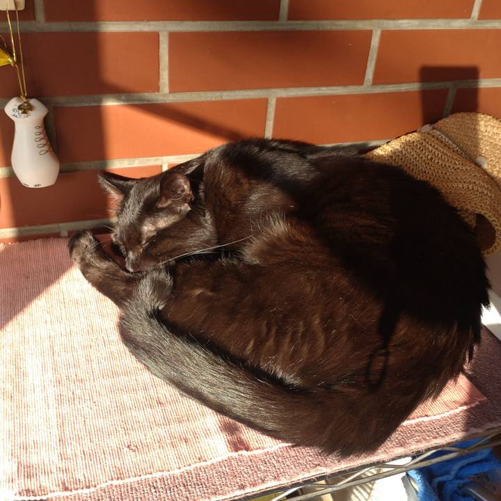 B712fe0a 861a 4104 b4f4 ba8352bcc8ac 1726643699887