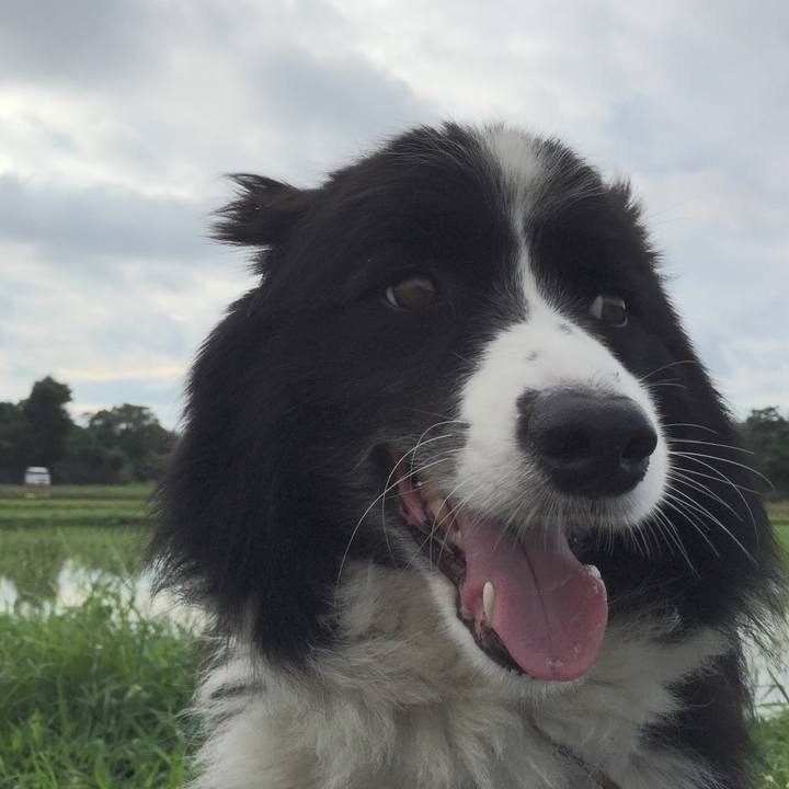 B71318cb 5250 400d a36f c71572b2e43b 1530657828433