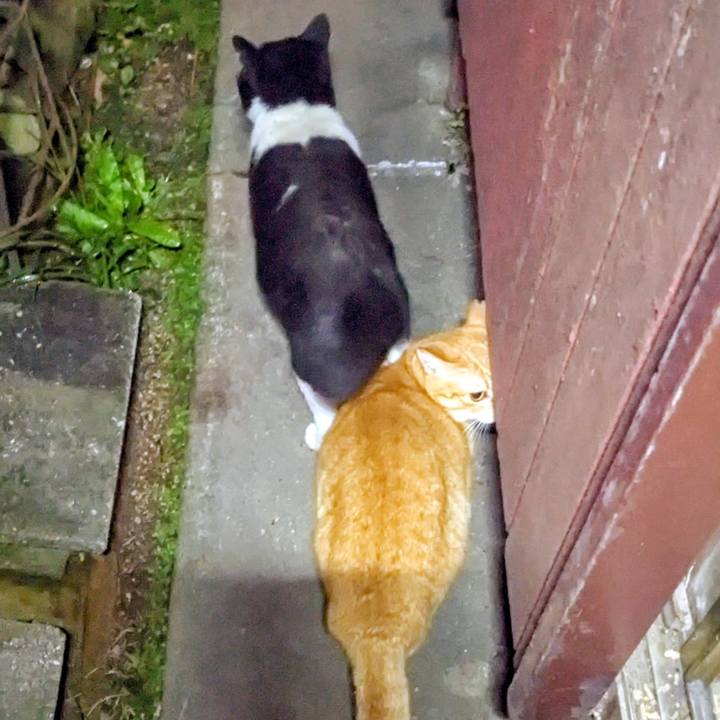 B7133846 c5e0 42b6 b18e 2f676555806e 1761886342884