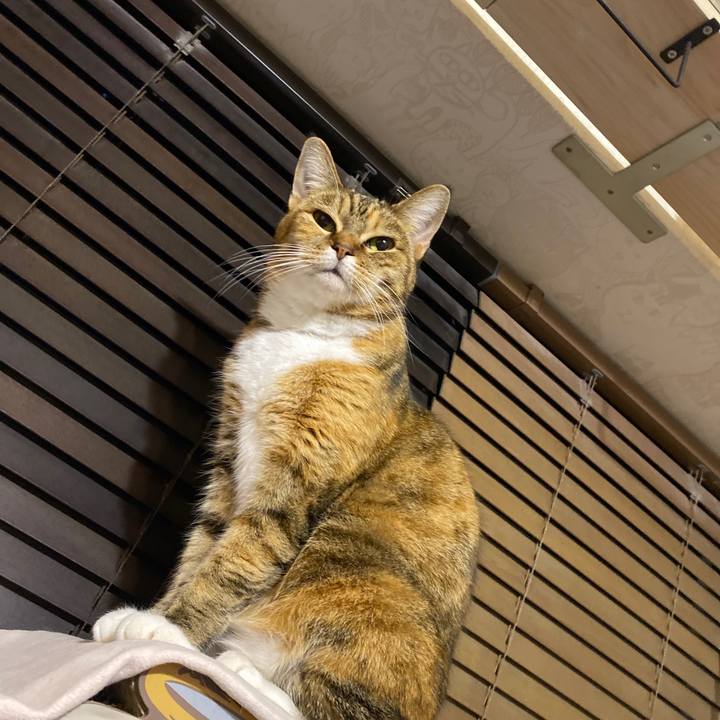 B7134279 2c04 46ef ba81 5511c923892f 1640873487074