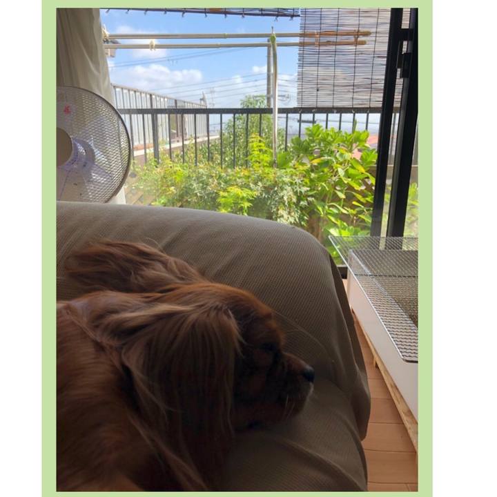 B7134c55 b697 4531 8fa6 0c7c0f061e4c 1570942075604